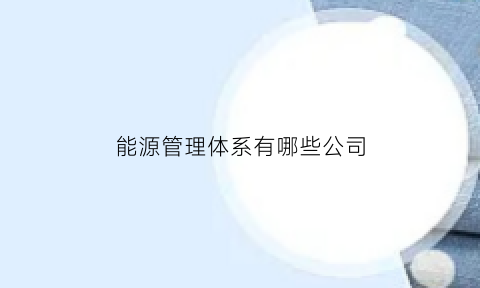 能源管理体系有哪些公司