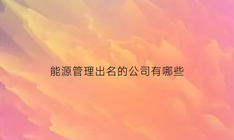 能源管理出名的公司有哪些