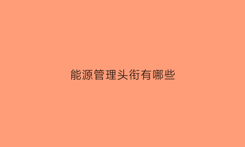 能源管理头衔有哪些