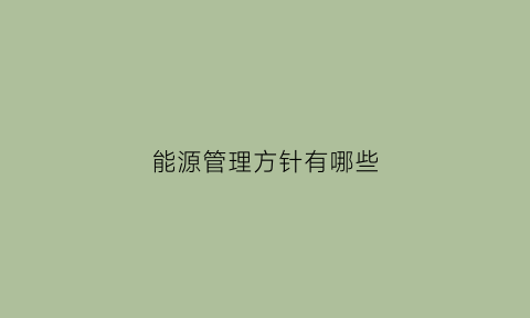 能源管理方针有哪些