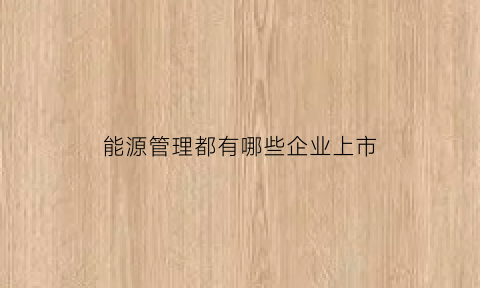 能源管理都有哪些企业上市