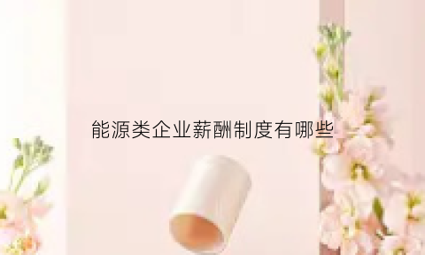 能源类企业薪酬制度有哪些