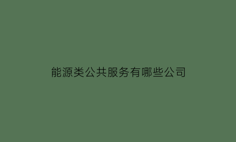 能源类公共服务有哪些公司