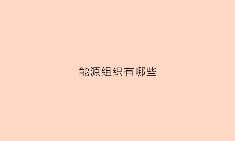 能源组织有哪些