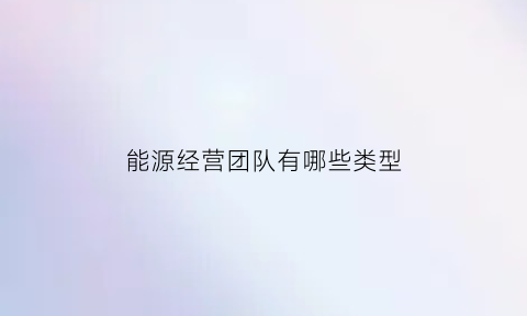 能源经营团队有哪些类型