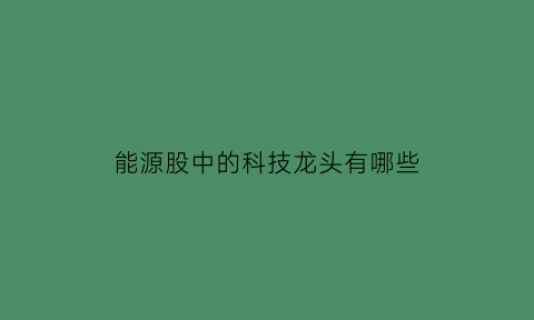 能源股中的科技龙头有哪些