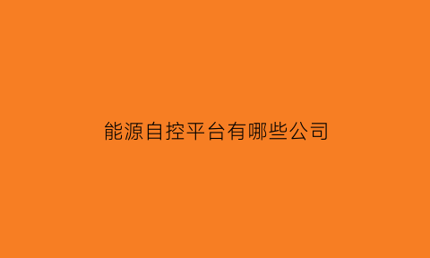 能源自控平台有哪些公司(能源控制是什么意思)