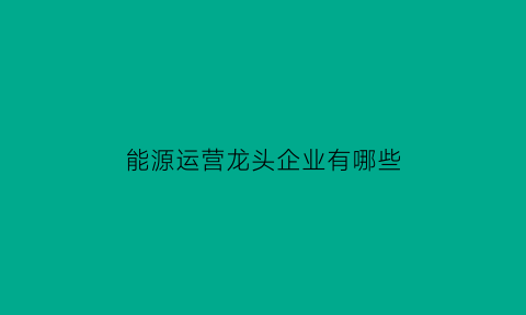 能源运营龙头企业有哪些(能源运营龙头企业有哪些企业)