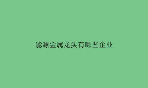 能源金属龙头有哪些企业