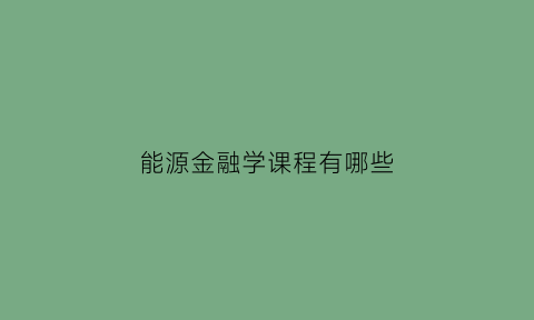 能源金融学课程有哪些