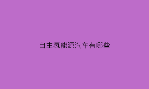 自主氢能源汽车有哪些(氢气自动车多少钱一台)