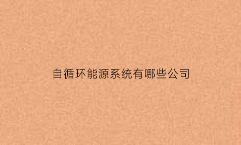 自循环能源系统有哪些公司