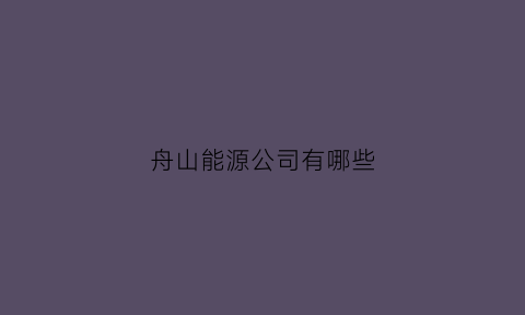 舟山能源公司有哪些