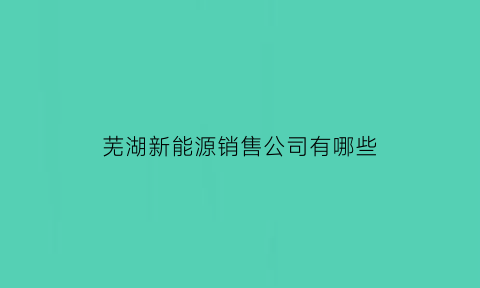 芜湖新能源销售公司有哪些