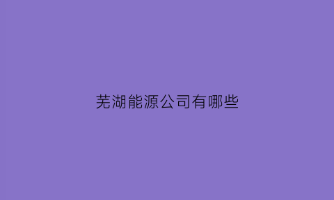 芜湖能源公司有哪些