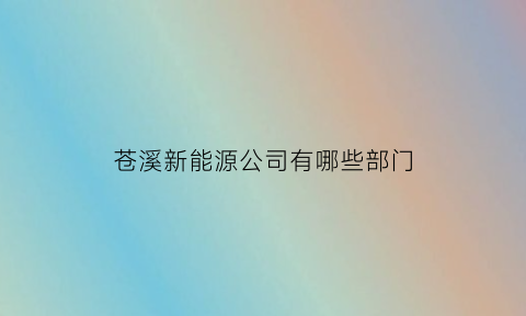 苍溪新能源公司有哪些部门