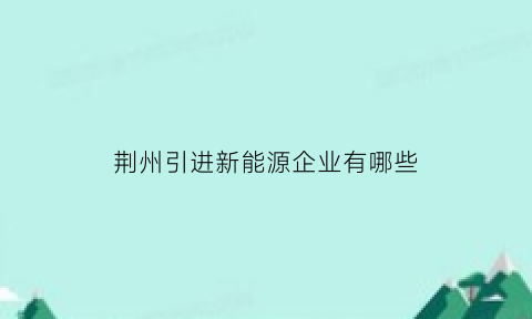 荆州引进新能源企业有哪些