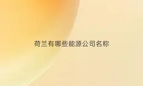 荷兰有哪些能源公司名称(荷兰厉害的公司)