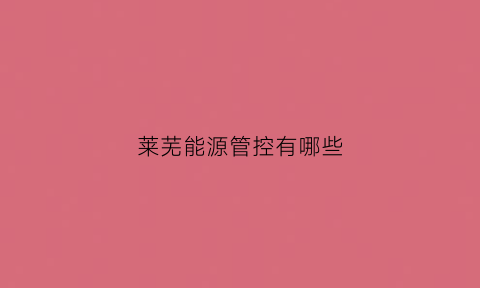 莱芜能源管控有哪些(莱芜能源公司)