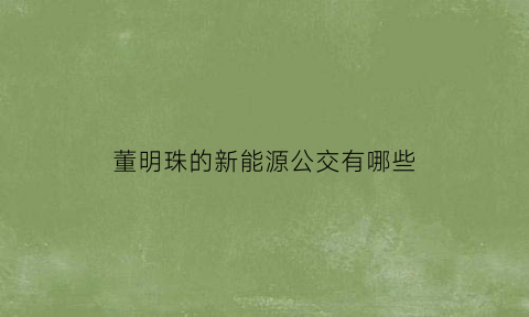 董明珠的新能源公交有哪些(董明珠新能源汽车叫什么名字)