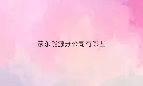 蒙东能源分公司有哪些(蒙东能源集团公司)