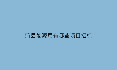 蒲县能源局有哪些项目招标