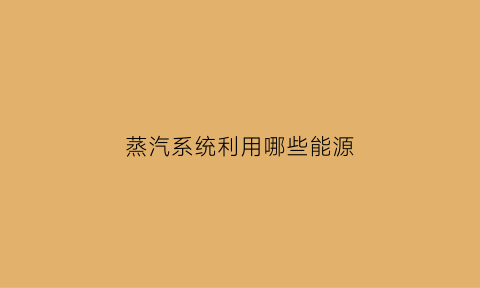 蒸汽系统利用哪些能源