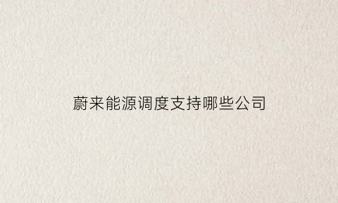 蔚来能源调度支持哪些公司