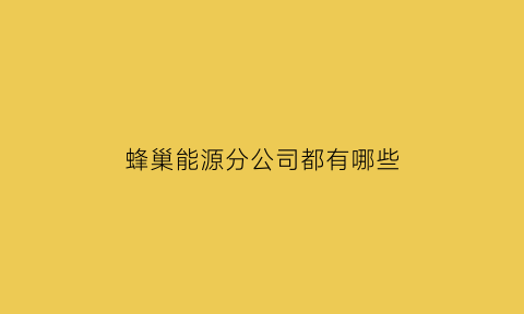 蜂巢能源分公司都有哪些(蜂巢能源总部在哪)