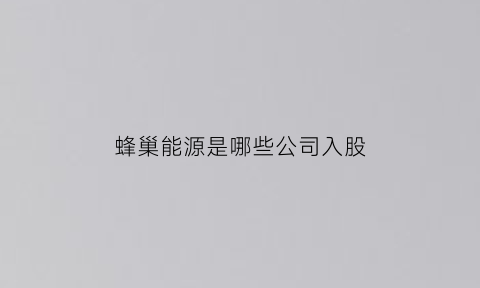 蜂巢能源是哪些公司入股