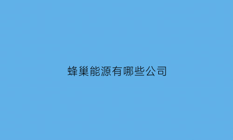 蜂巢能源有哪些公司