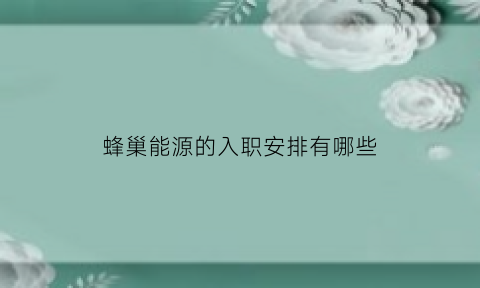 蜂巢能源的入职安排有哪些