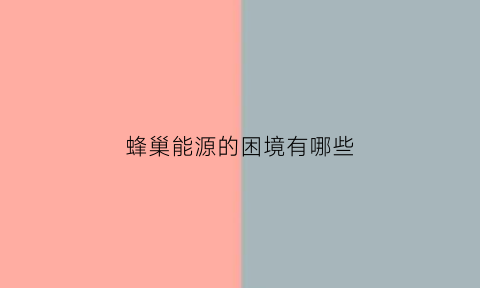 蜂巢能源的困境有哪些