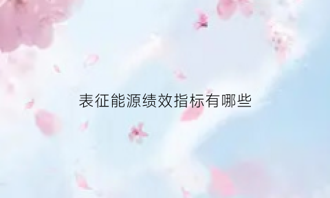 表征能源绩效指标有哪些