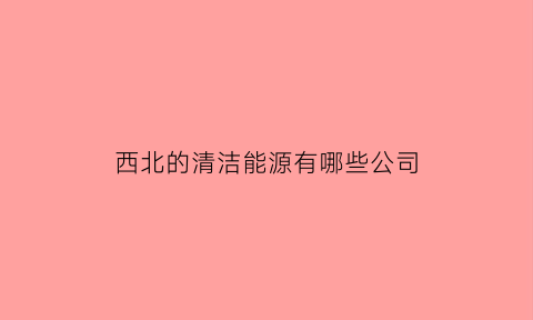 西北的清洁能源有哪些公司