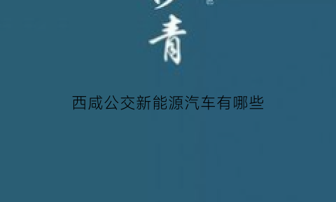 西咸公交新能源汽车有哪些