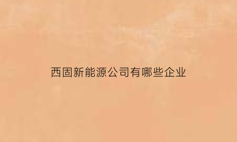 西固新能源公司有哪些企业