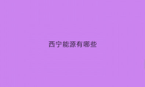 西宁能源有哪些(西宁新能源公司有哪些)