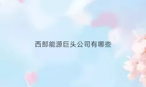 西部能源巨头公司有哪些