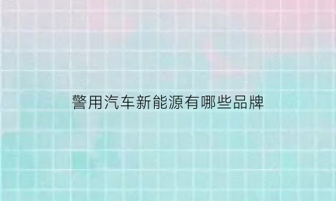 警用汽车新能源有哪些品牌(警用新能源汽车标准)