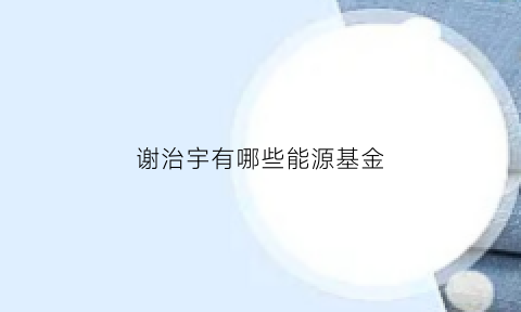 谢治宇有哪些能源基金(基金经理谢治宇的投资风格)