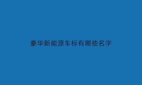 豪华新能源车标有哪些名字