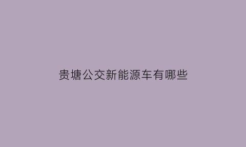 贵塘公交新能源车有哪些