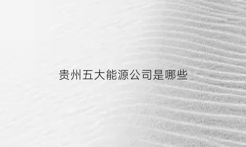 贵州五大能源公司是哪些