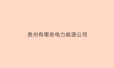 贵州有哪些电力能源公司