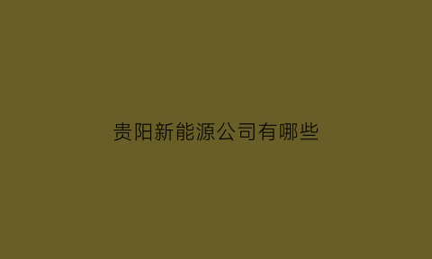 贵阳新能源公司有哪些