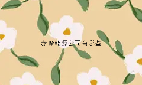 赤峰能源公司有哪些