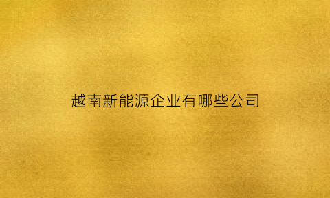 越南新能源企业有哪些公司(越南能源结构)