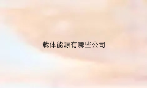 载体能源有哪些公司(载体公司是什么意思)