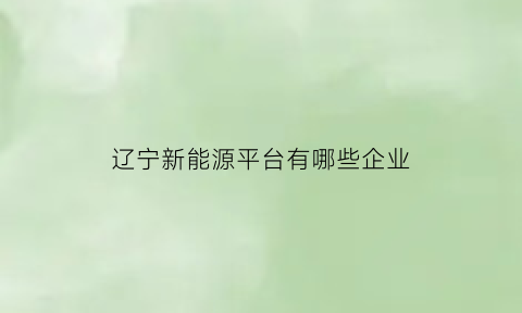 辽宁新能源平台有哪些企业